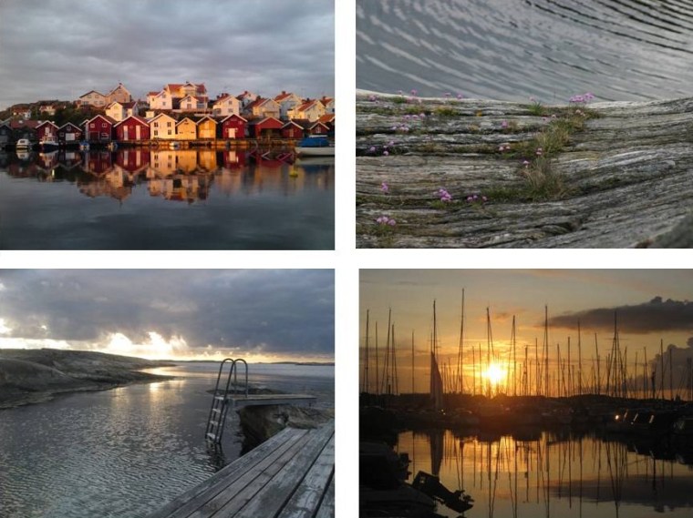 bilder fotoutsallning