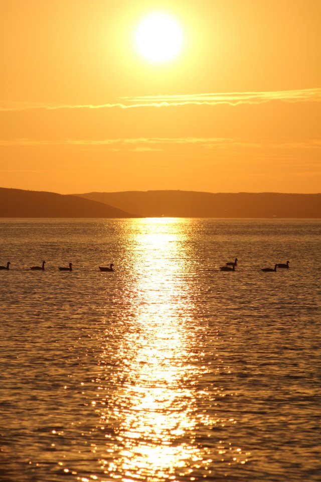 Innanför Kråksundsgap