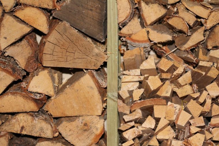 644556_10151015582226116_621228671_n-1