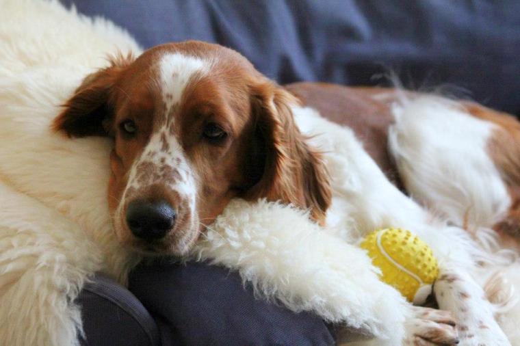 59346_10151086223656116_2006206827_n