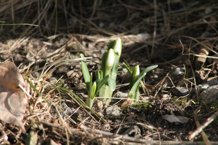 429751_10151240735711116_957552978_n