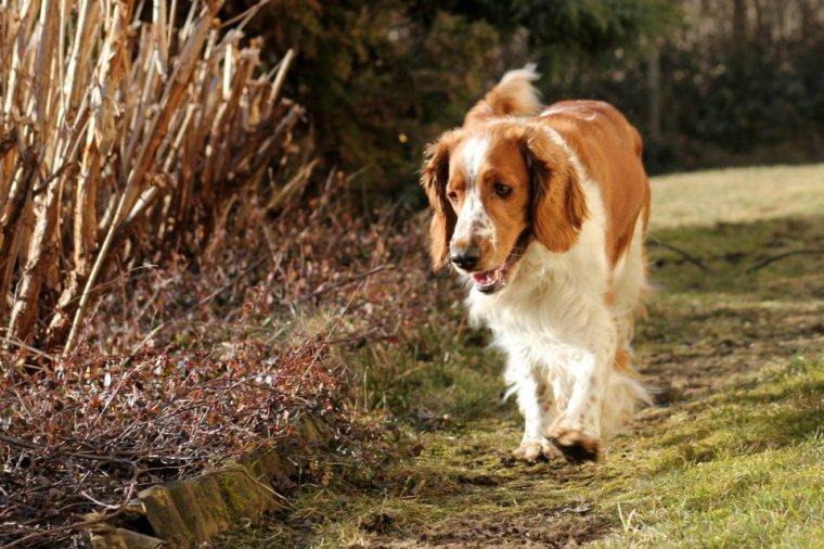 578546_10151240736061116_1989129728_n