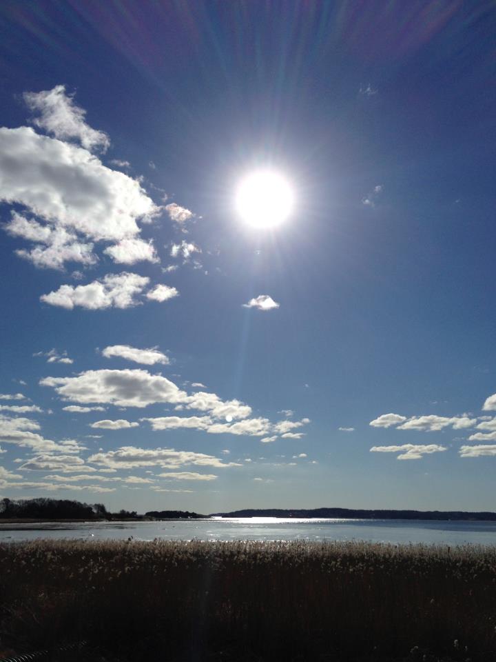 579332_10151261180016116_1783032823_n