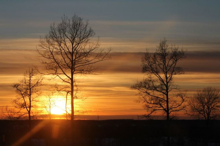 581856_10151226820516116_593325050_n