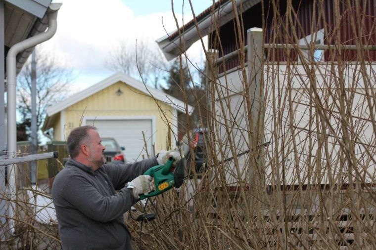 582507_10151240739291116_885501750_n