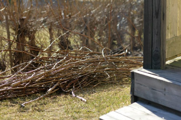 69277_10151240736046116_1648086190_n