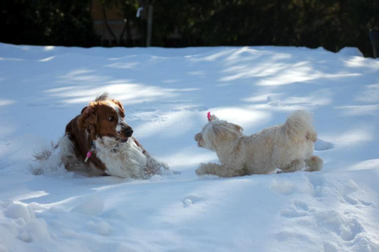 75594_10151226820121116_1999183432_n