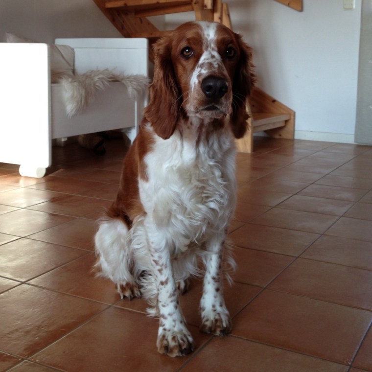 Photo 2013-03-21 07 48 43