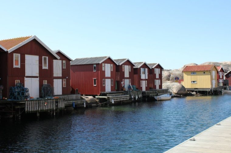 149076_10151285652706116_1545011496_n