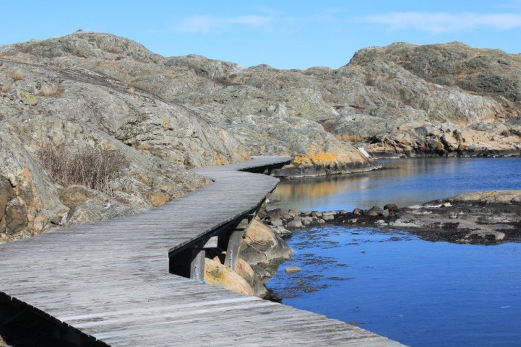 16228_10151279033411116_1327413318_n