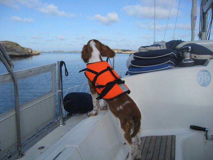 283589_10150220498596116_737951_n