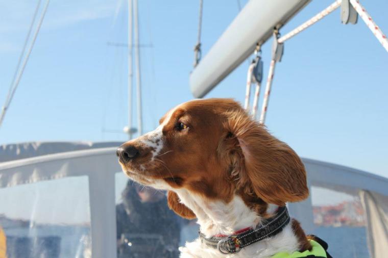 375930_10151297705306116_507610625_n