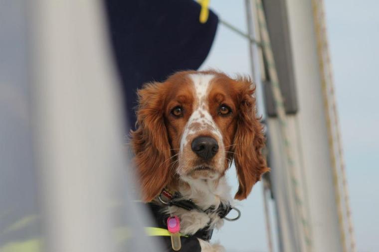 378340_10151297705816116_1684286331_n