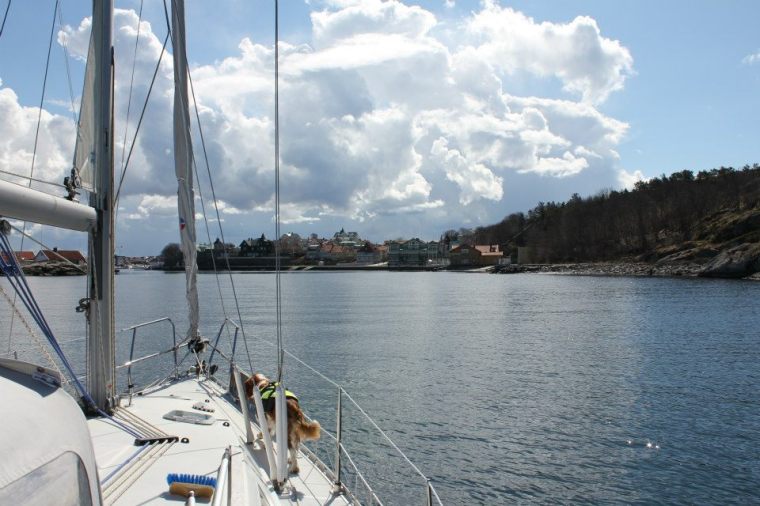 400685_10151306658966116_1720942390_n