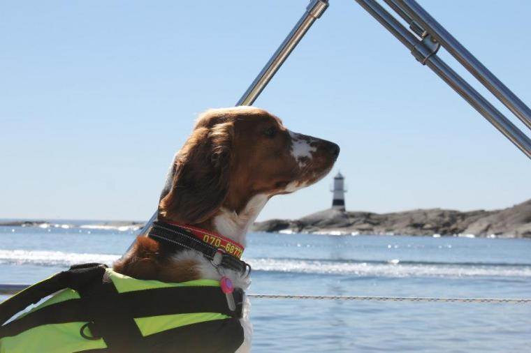 406988_10151297704376116_757730368_n