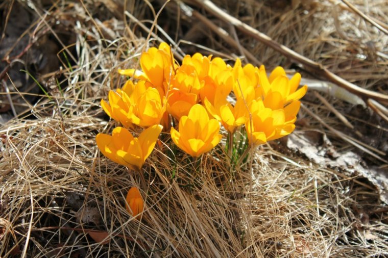 420603_10151294889421116_1718490799_n