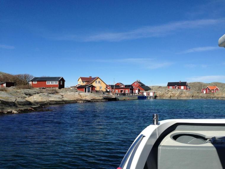 529119_10151277570121116_338153021_n