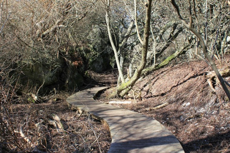 534820_10151279033651116_1841298458_n