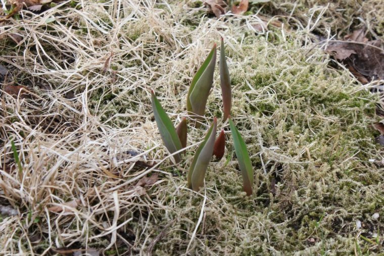 544941_10151294889626116_501699352_n