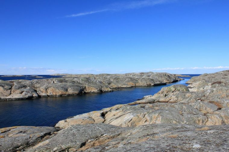 555096_10151279033796116_1511410217_n