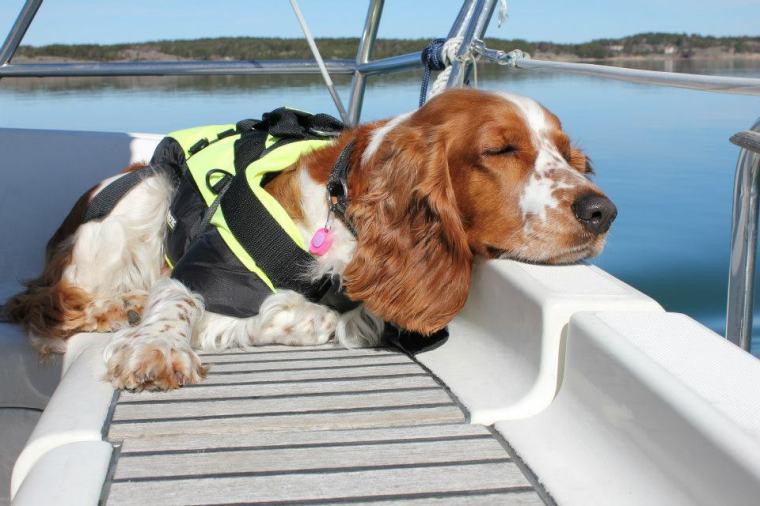 562576_10151297704341116_769979634_n