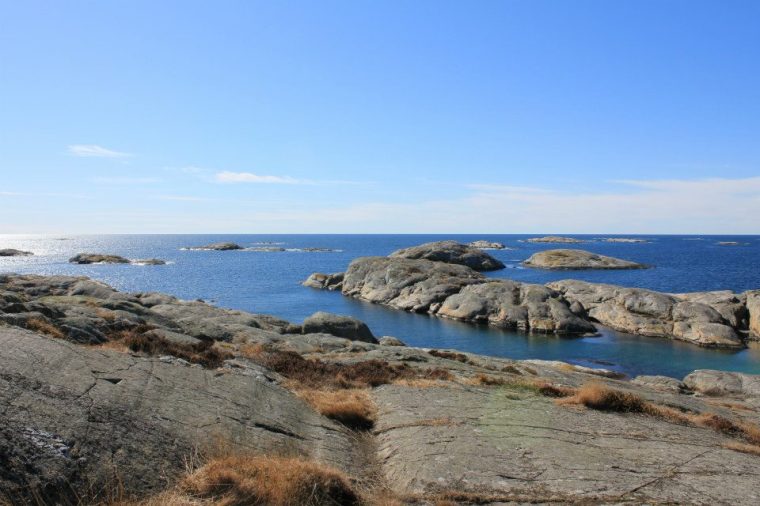 602087_10151279033716116_760235036_n