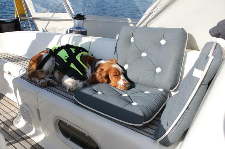 603614_10151297705391116_572137121_n