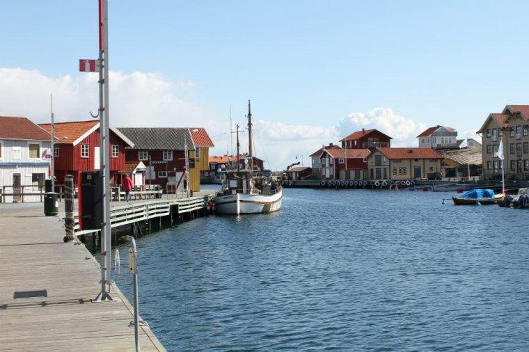 644420_10151285653441116_56177535_n