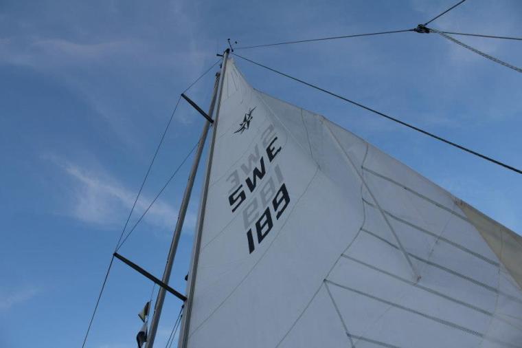 6683_10151289445291116_476249557_n