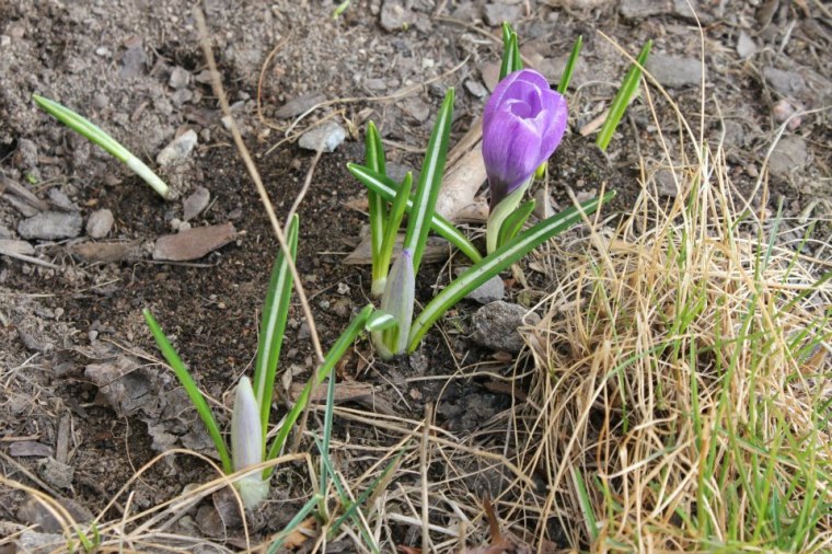 922970_10151294889476116_659202731_n