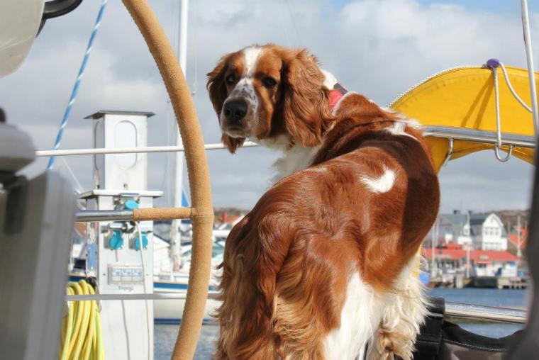 942947_10151306663226116_2111807991_n