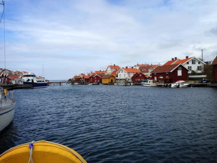 309999_10151325698136116_808536565_n