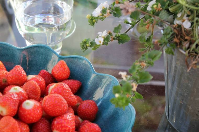 485427_10151344384406116_1143784583_n