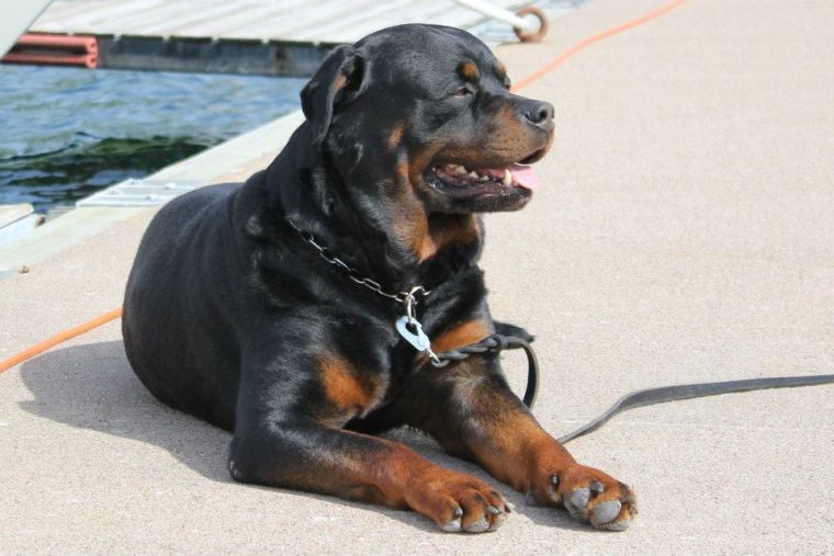 936317_10151344383921116_153484684_n