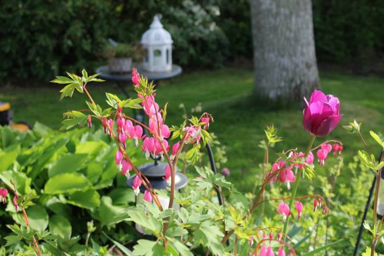 941757_10151344384296116_210429816_n