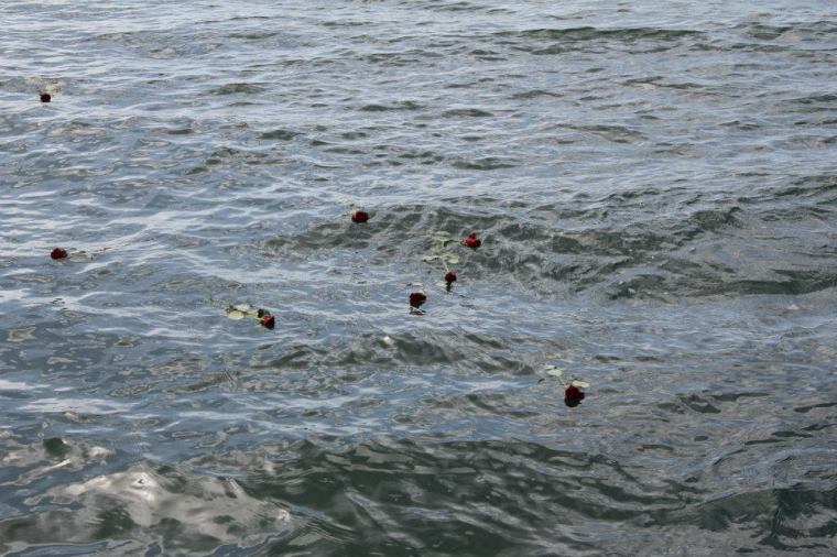 944143_10151316984991116_531566198_n