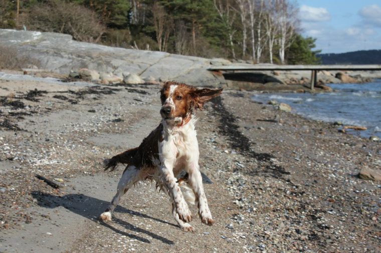 945482_10151311025431116_2013085317_n