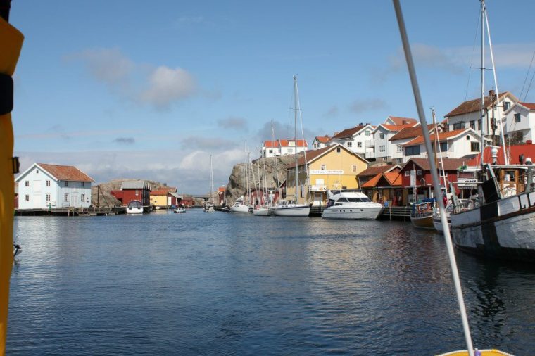 970948_10151326304086116_1432365366_n