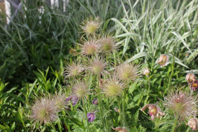 983924_10151344384091116_1342587089_n