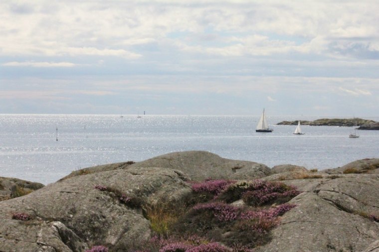 528110_10150933510121116_1684601955_n