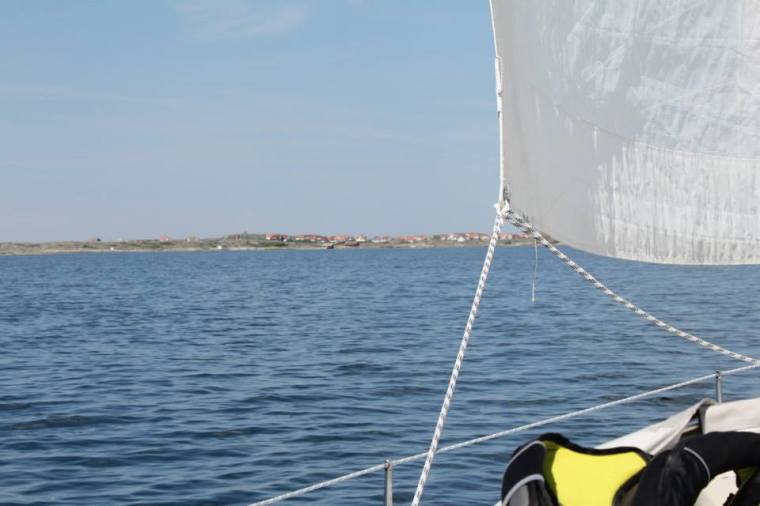 944642_10151356104046116_949499050_n