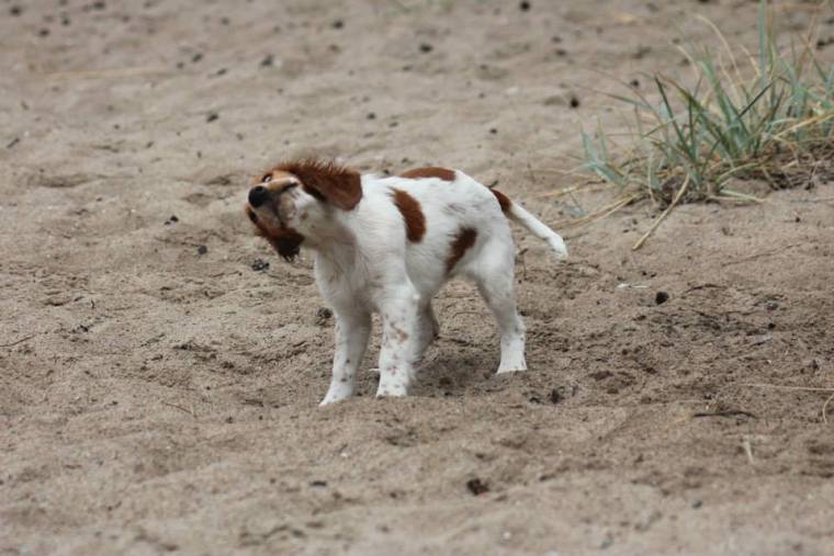 1185741_10151531091501116_312630028_n