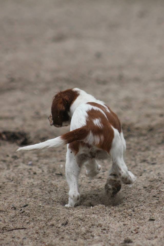 1234516_10151531091601116_1420630723_n