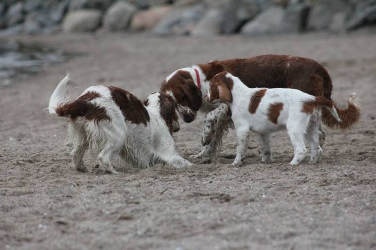 526554_10151531091051116_1949214245_n