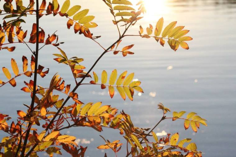 1374099_10151560266096116_1394841363_n