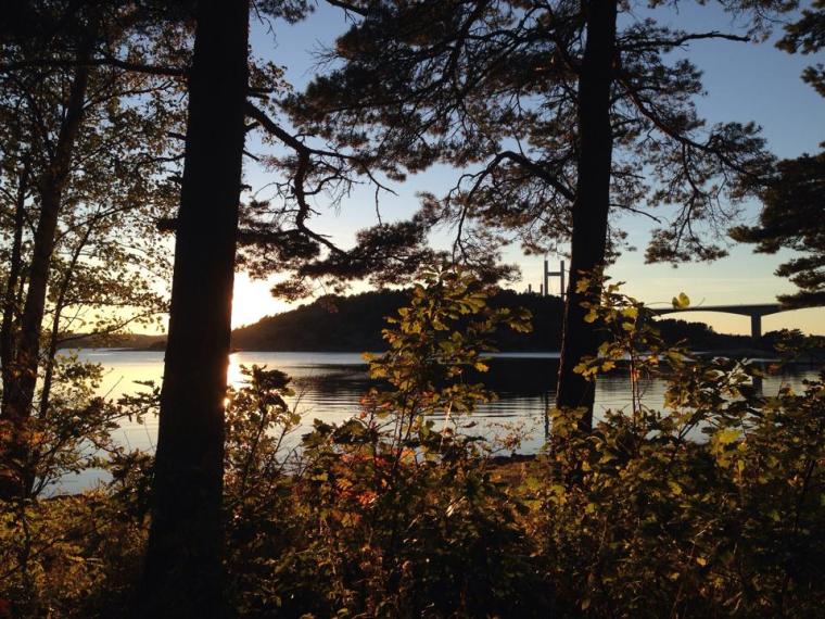 1381366_10151560155671116_860542037_n