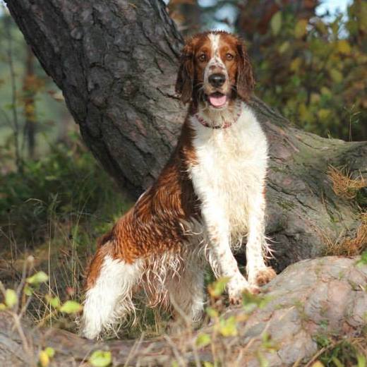 1381650_10151567797571116_50252571_n