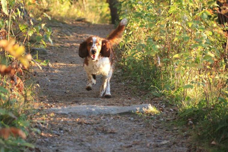 1382030_10151560266166116_816337659_n