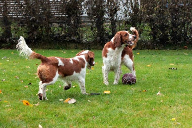 581768_10151601150416116_1333890753_n