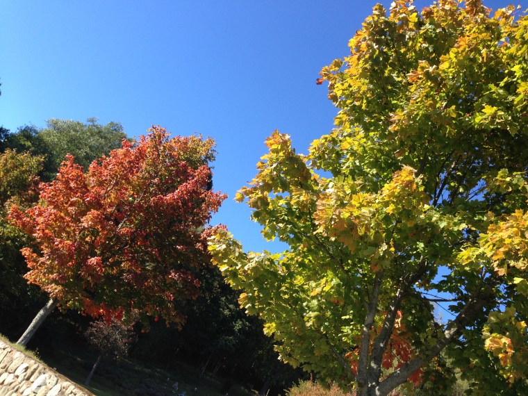 Photo 2013-10-01 12 39 21